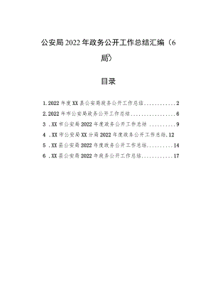 公安局2022年政务公开工作总结汇编（6篇）.docx