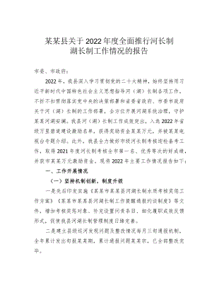 某某县关于2022年度全面推行河长制湖长制工作情况的报告.docx