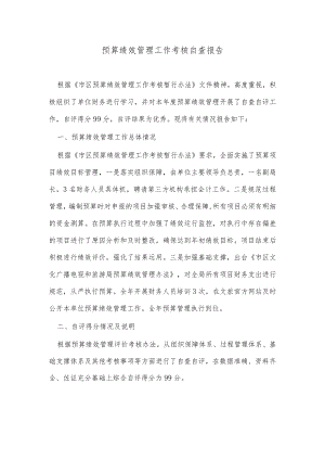 预算绩效管理工作考核自查报告 .docx