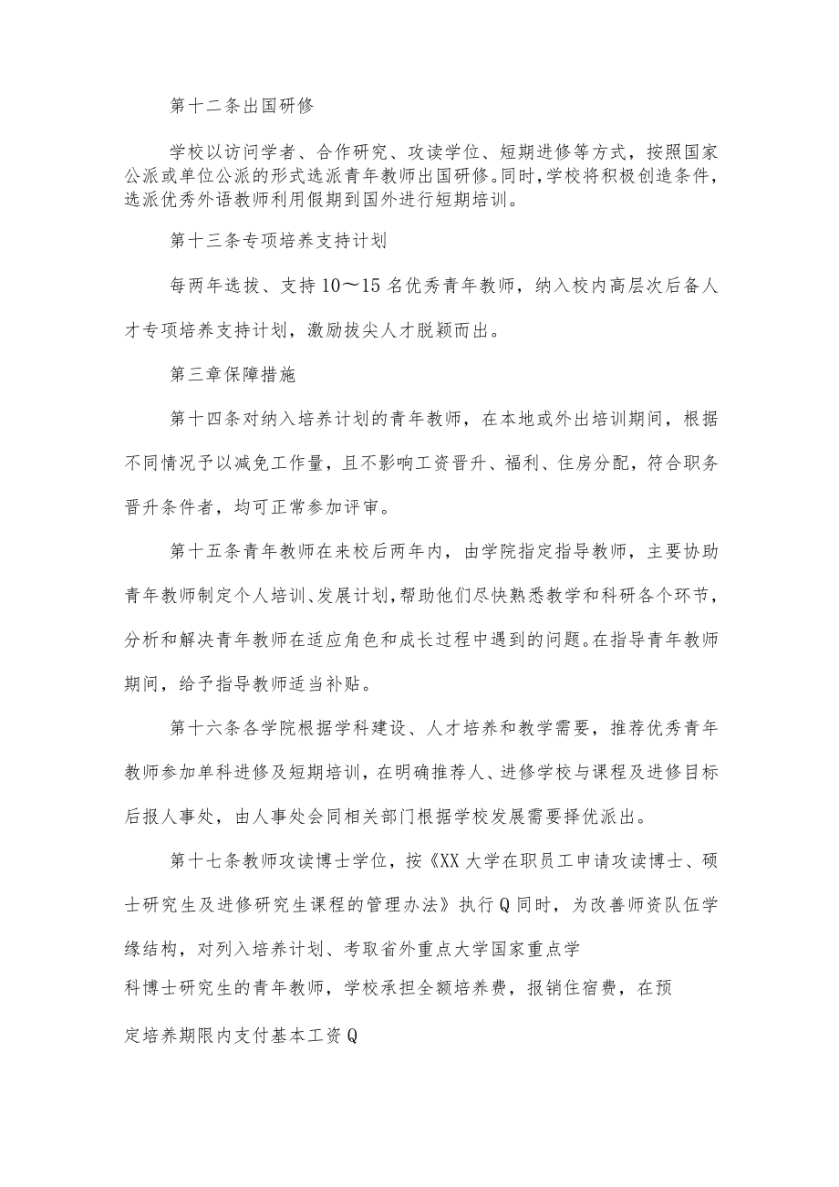 大学关于加强青年教师培养工作的实施意见.docx_第3页