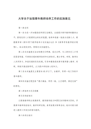 大学关于加强青年教师培养工作的实施意见.docx