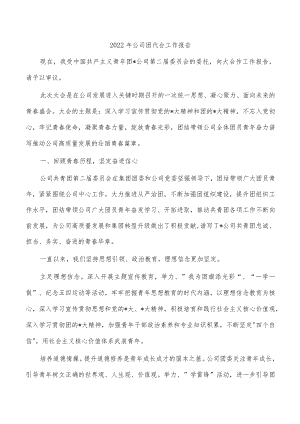 2022年公司团代会工作报告.docx