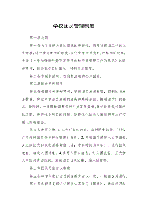 学校团员管理制度.docx