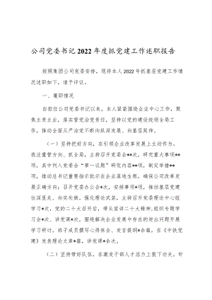 公司党委书记2022年度抓党建工作述职报告.docx