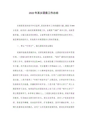 2022年某乡团委工作总结.docx