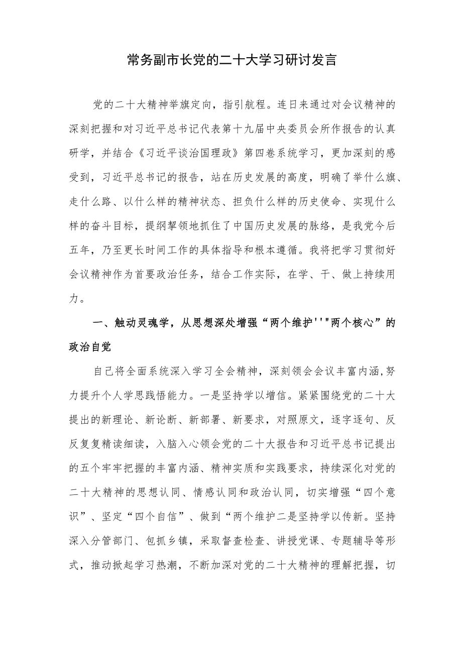 常务副市长贯彻落实学习党的二十大精神研讨交流发言讲话材料4篇.docx_第2页