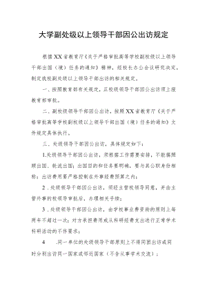 大学副处级以上领导干部因公出访规定.docx