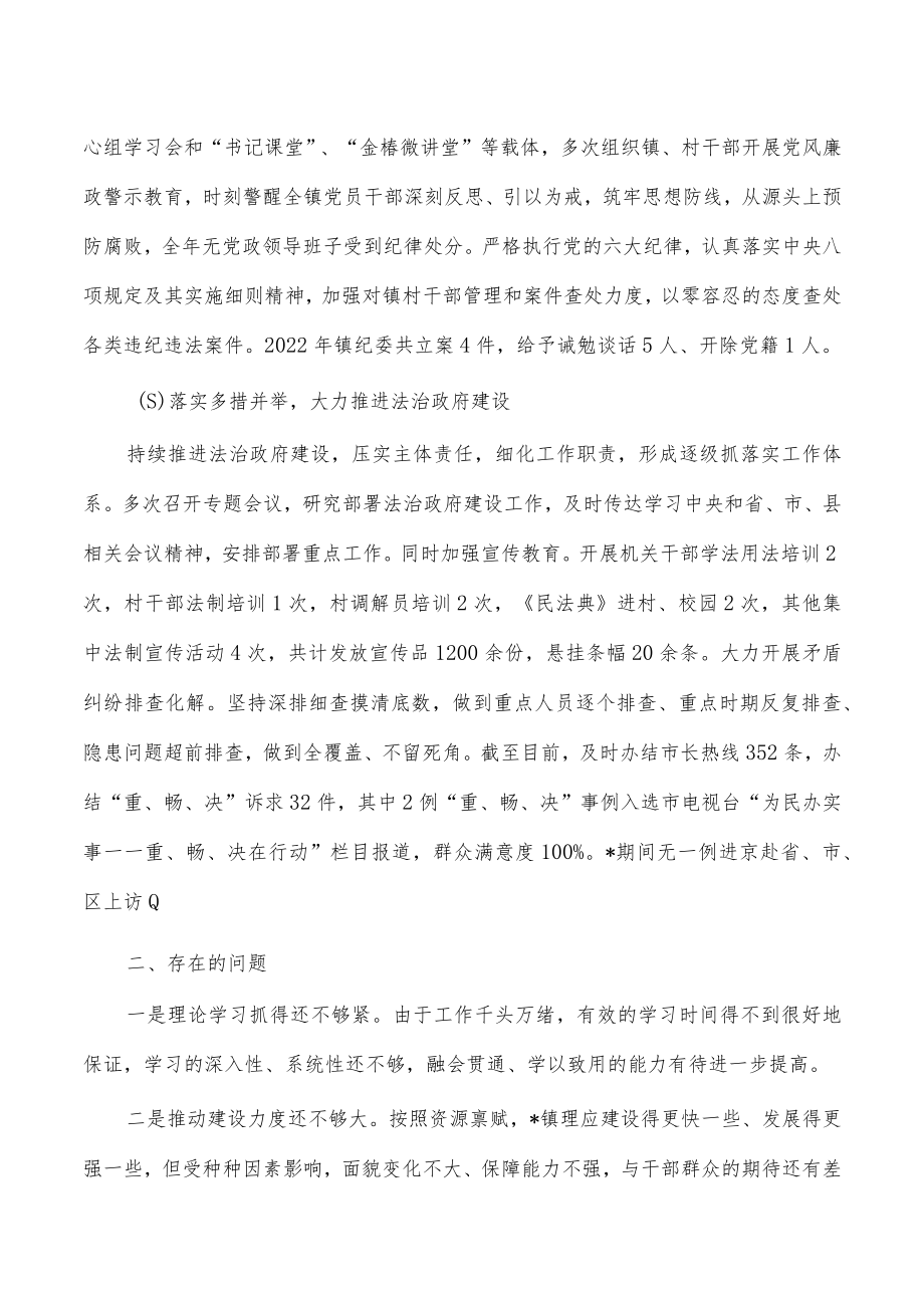 镇书记2022年述职述德述廉报告.docx_第3页