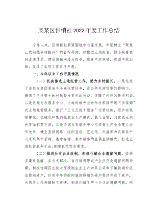 某某区供销社2022年度工作总结.docx