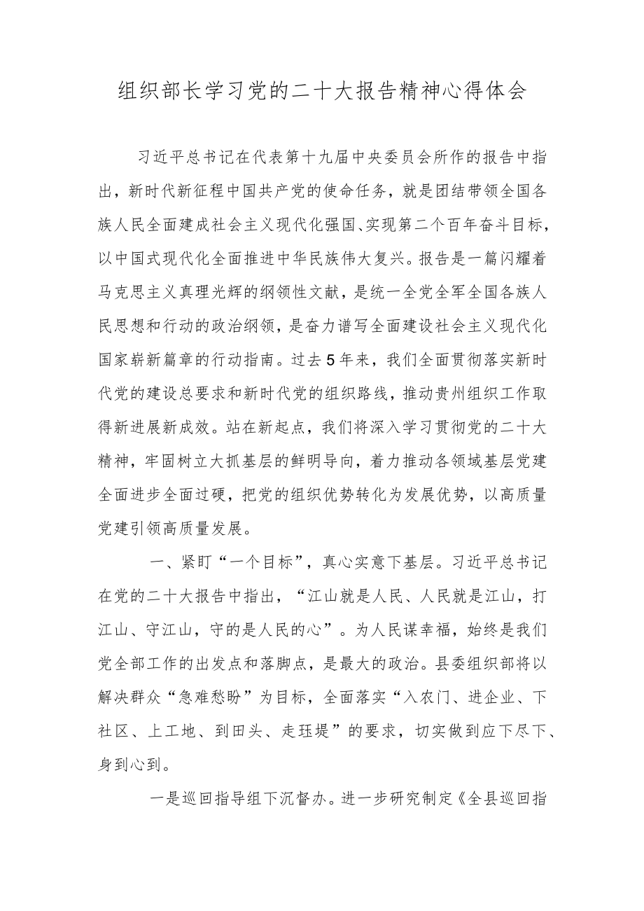 组织部长学习党的二十大报告精神心得体会.docx_第1页