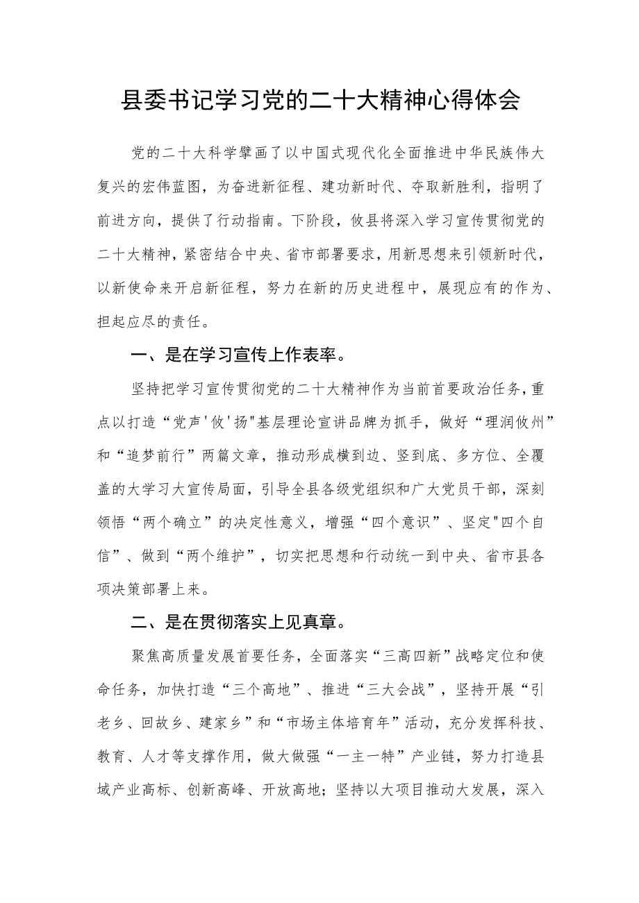 县委书记学习党的二十大精神心得体会.docx_第1页