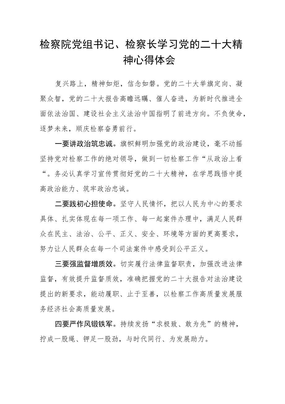 检察院党组书记、检察长学习党的二十大精神心得体会.docx_第1页