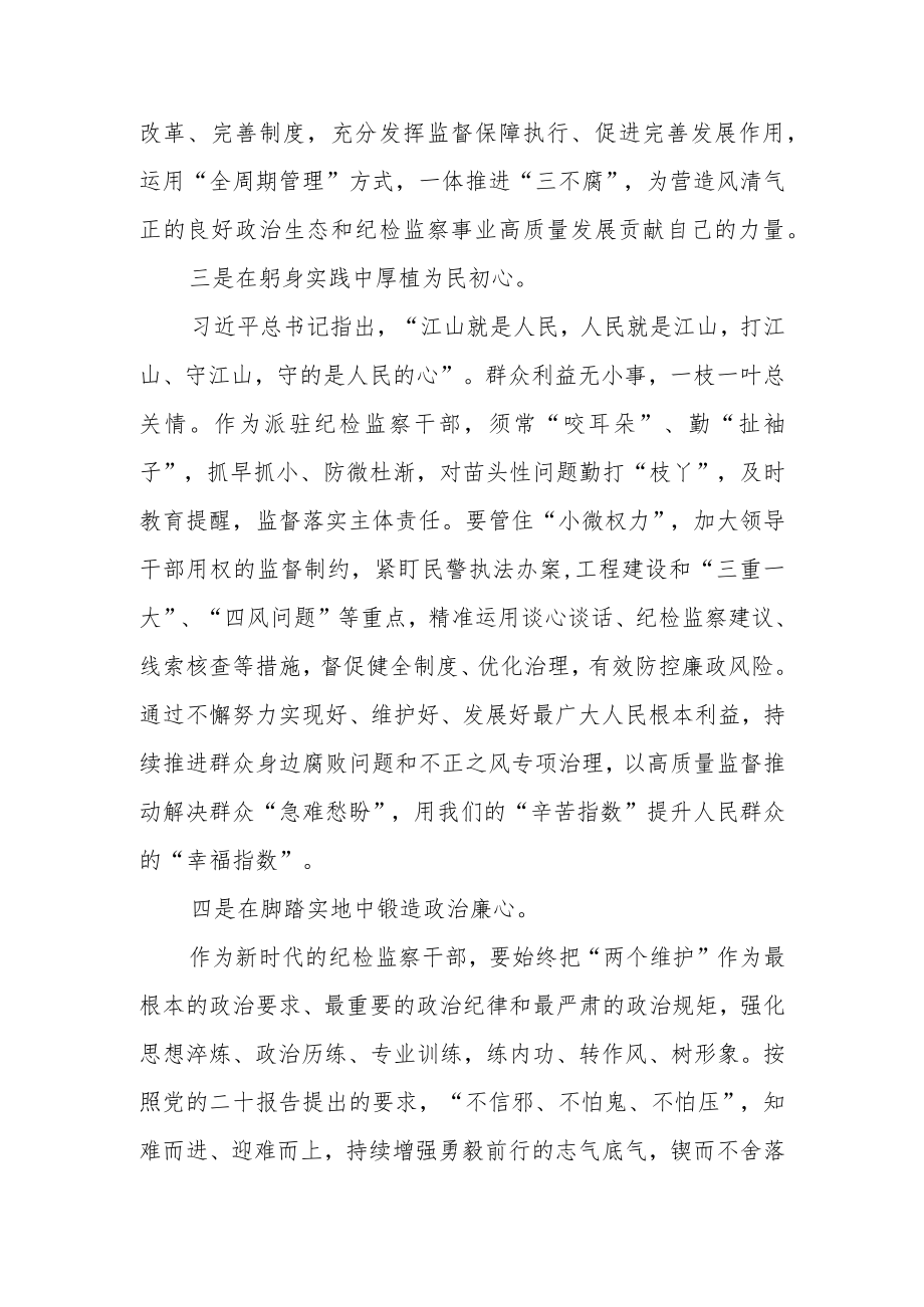 公安纪检监察组组长学习党的二十大精神心得体会.docx_第3页