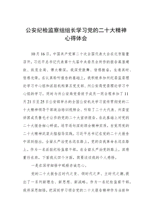 公安纪检监察组组长学习党的二十大精神心得体会.docx