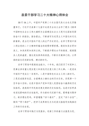 县委干部学习二十大精神心得体会.docx