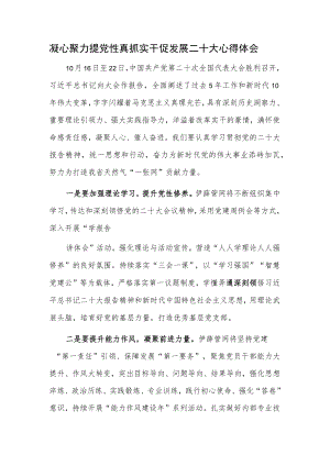 凝心聚力提党性 真抓实干促发展二十大心得体会.docx