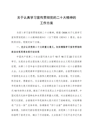 关于认真学习宣传贯彻党的二十大精神的工作方案.docx