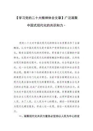 【学习党的二十大精神体会文章】广泛凝聚中国式现代化的共识和力量.docx