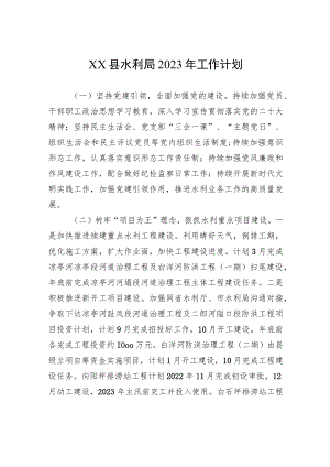 XX县水利局2023年工作计划.docx