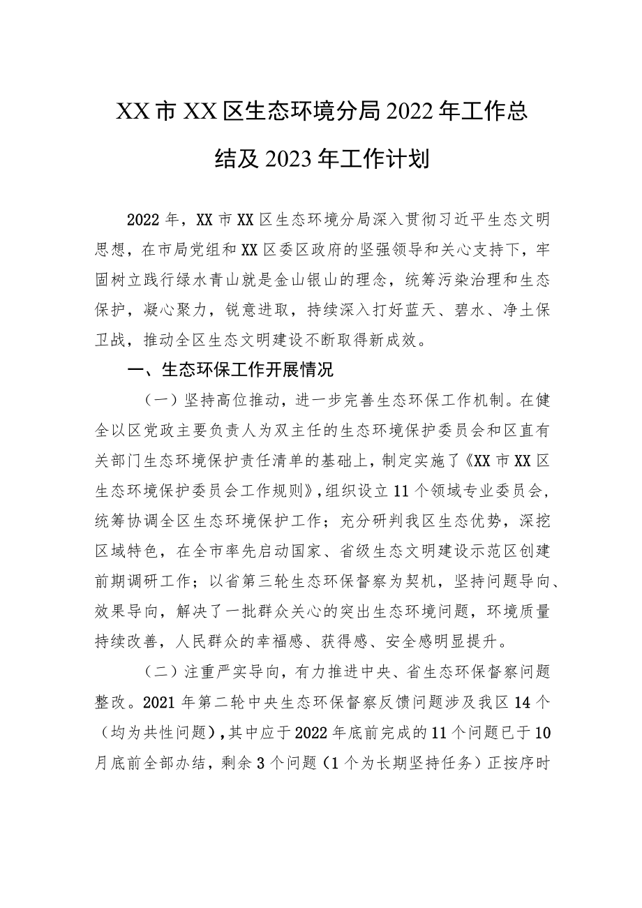 XX市XX区生态环境分局工作总结及2023年工作计划.docx_第1页