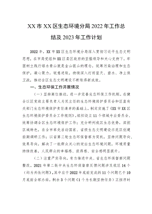 XX市XX区生态环境分局工作总结及2023年工作计划.docx