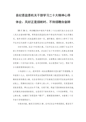 县纪委监委机关干部学习二十大精神心得体会：风好正是扬帆时、不待扬鞭自奋蹄（20221019）.docx