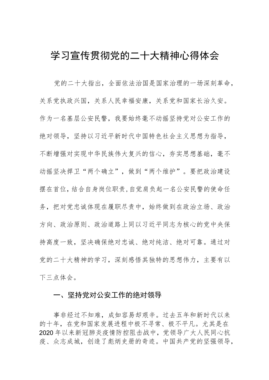 治安大队大队长学习党的二十大精神心得体会五篇例文.docx_第1页