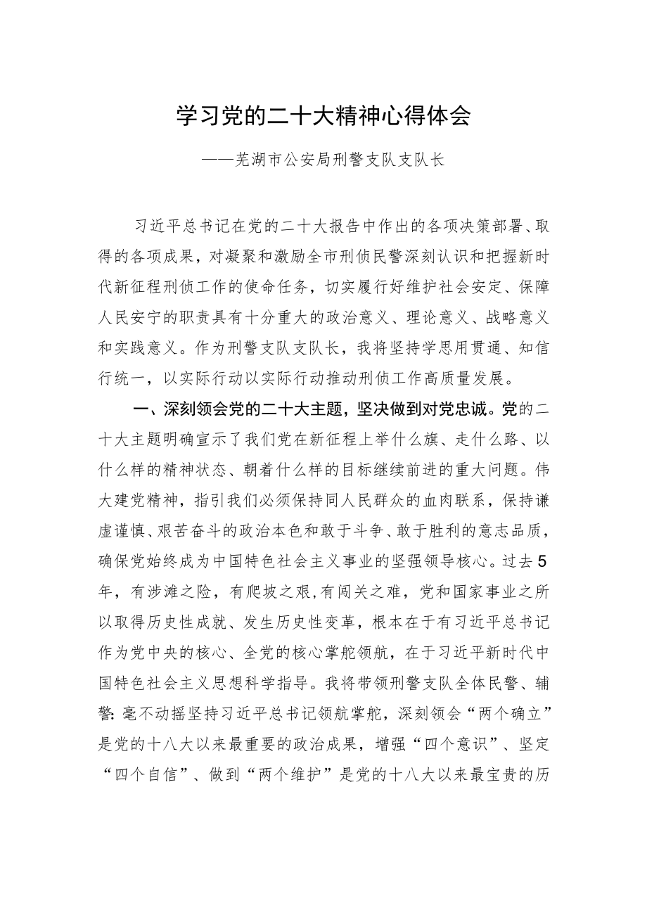 芜湖市公安局刑警支队支队长学习二十大精神心得体会（20221219）.docx_第1页