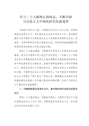 学习二十大精神心得体会：不断开辟马克思主义中国化时代化新境界.docx