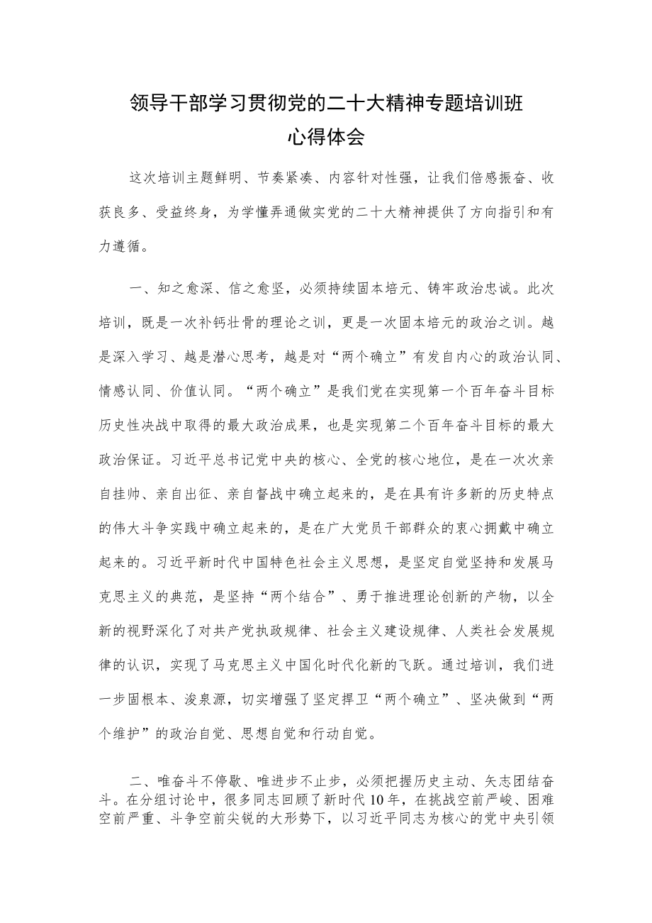 领导干部学习贯彻党的二十大精神专题培训班心得体会.docx_第1页