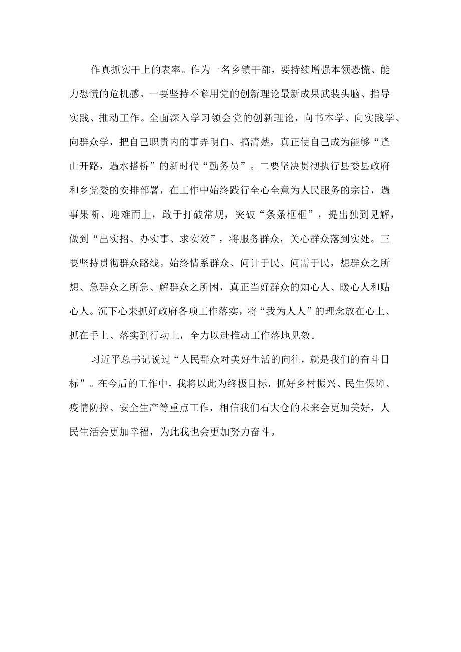 镇长学习二十大精神心得体会.docx_第2页