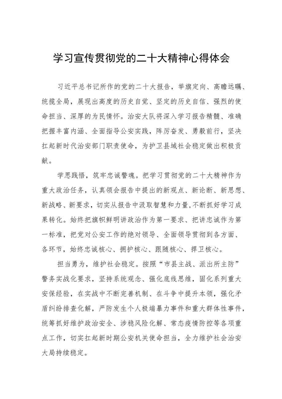 治安大队大队长学习党的二十大精神心得体会三篇.docx_第1页