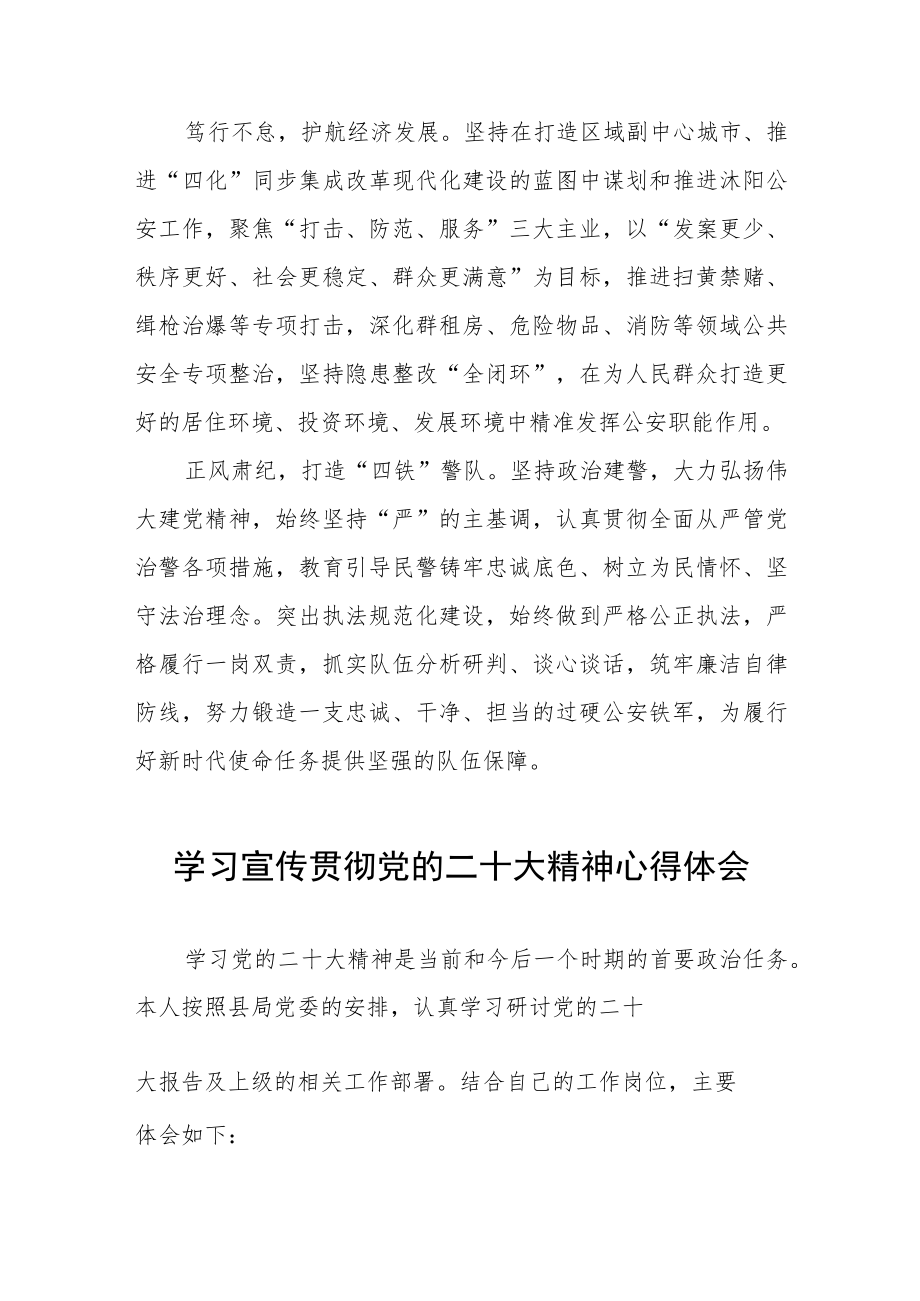 治安大队大队长学习党的二十大精神心得体会三篇.docx_第2页