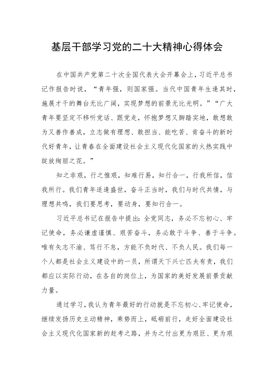 基层干部学习党的二十大精神心得体会.docx_第1页