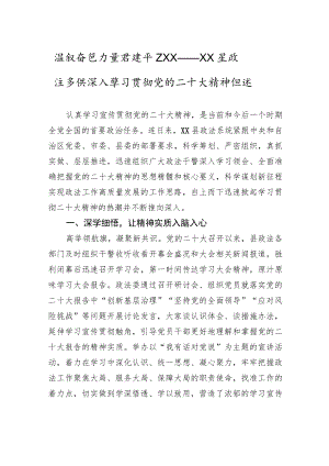 汲取奋进力量共建平安XX——XX县政法系统深入学习贯彻党的二十大精神综述（20221215）.docx