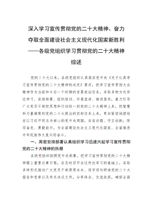 深入学习宣传贯彻党的二十大精神、奋力夺取全面建设社会主义现代化国家新胜利——各级党组织学习贯彻党的二十大精神综述（20221128）.docx