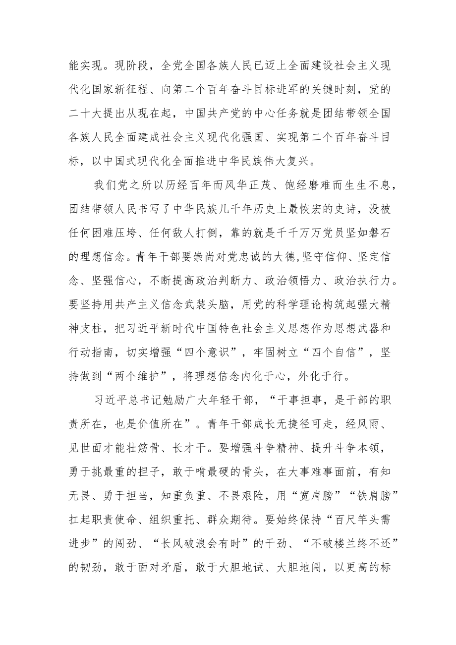 镇青年干部入党积极分子学习党的二十大报告精神心得体会.docx_第2页