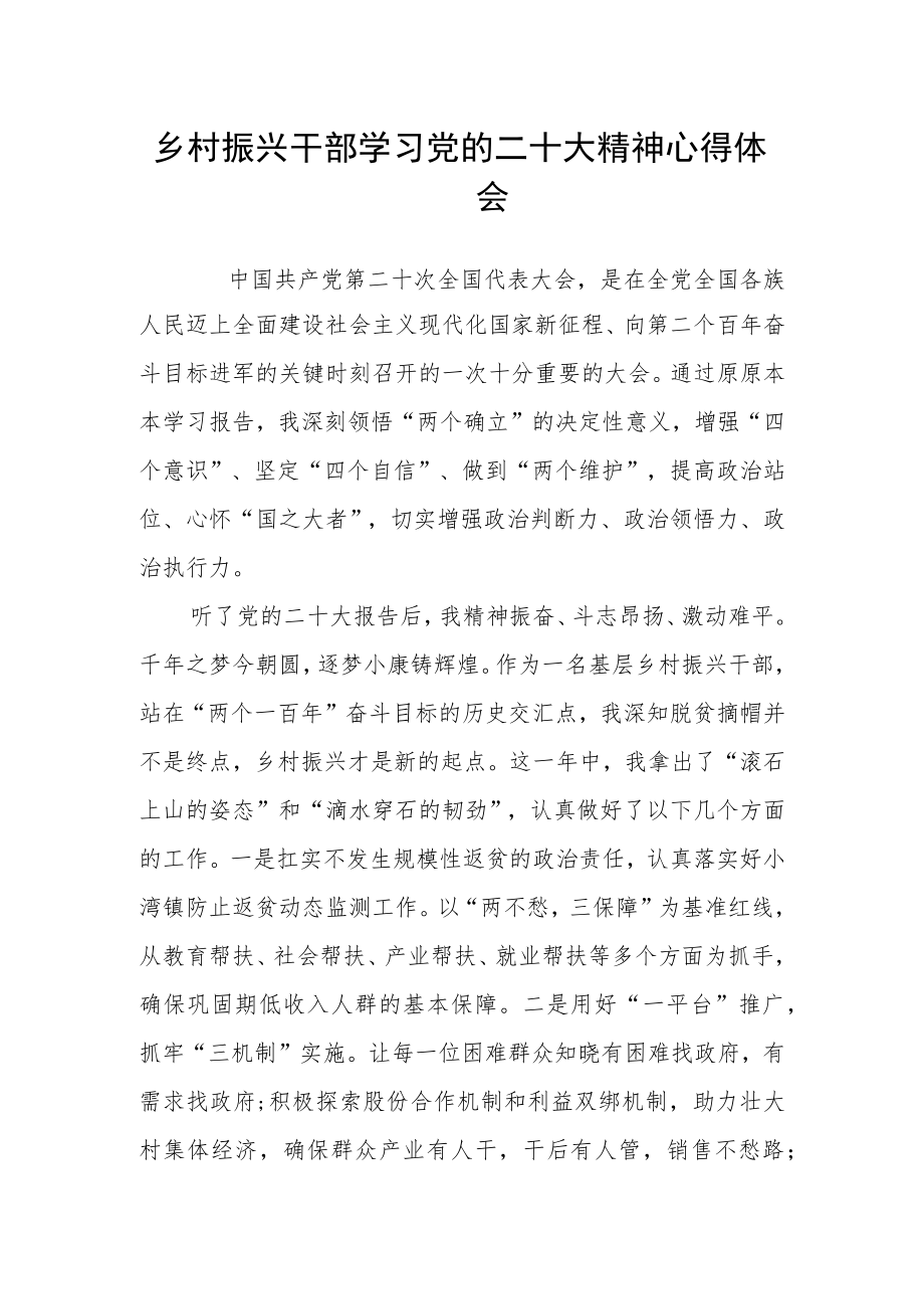 乡村振兴干部学习党的二十大精神心得体会.docx_第1页