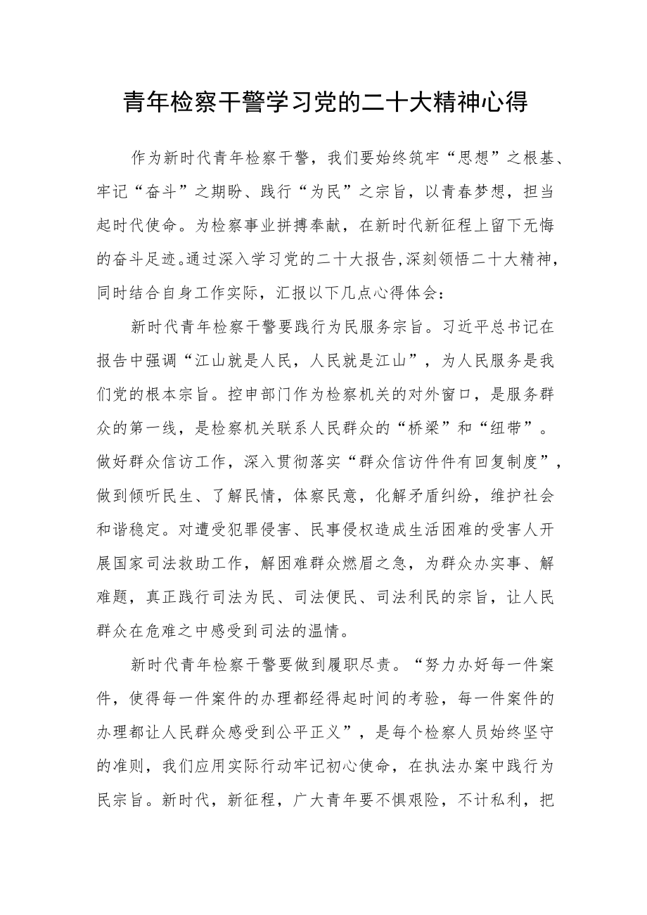 青年检察干警学习党的二十大精神心得.docx_第1页