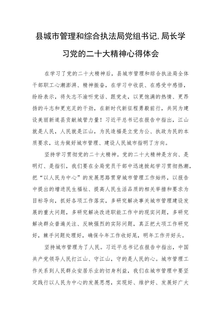 县城市管理和综合执法局党组书记、局长学习党的二十大精神心得体会.docx_第1页