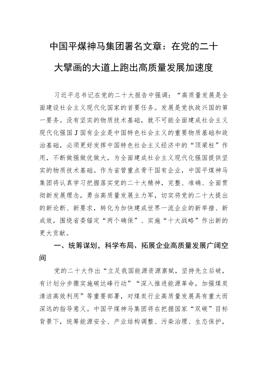 中国平煤神马集团署名文章：在党的二十大擘画的大道上+跑出高质量发展加速度（20221103）.docx_第1页