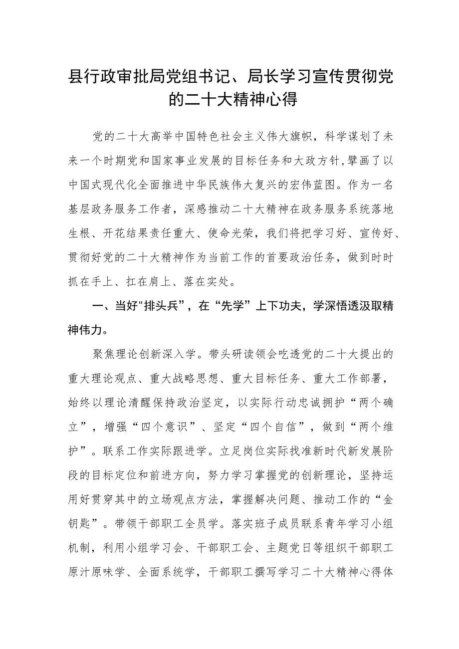 县行政审批局党组书记、局长学习宣传贯彻党的二十大精神心得.docx_第1页