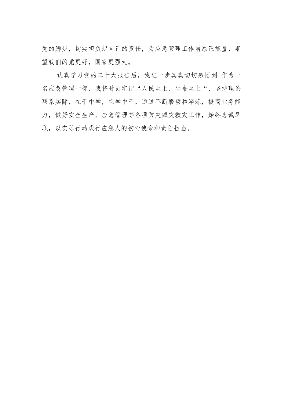 涿州市应急管理局党委书记、局长谈二十大心得体会（20221117）.docx_第2页