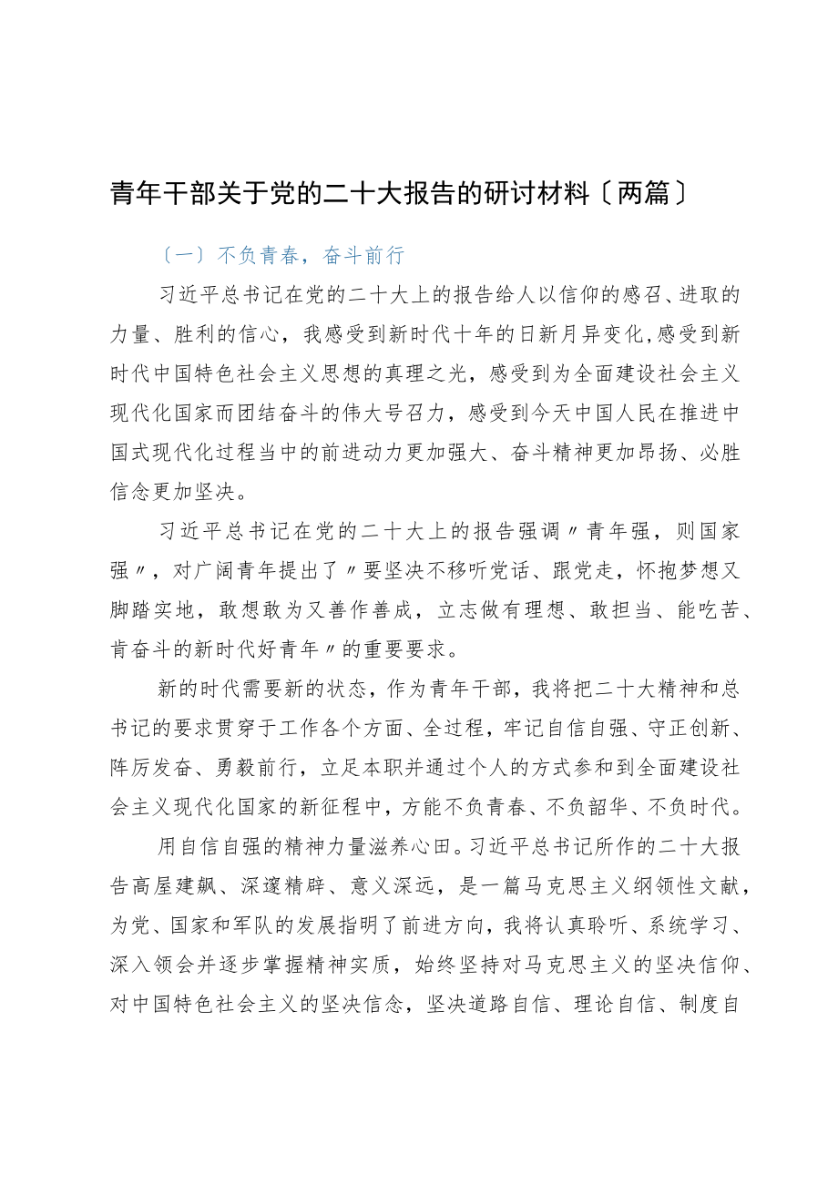 青年干部关于党的二十大报告的研讨材料（两篇）.docx_第1页