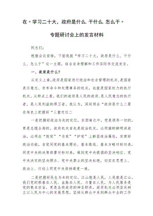 在“学习二十大政府是什么、干什么、怎么干”专题研讨会上的发言材料.docx