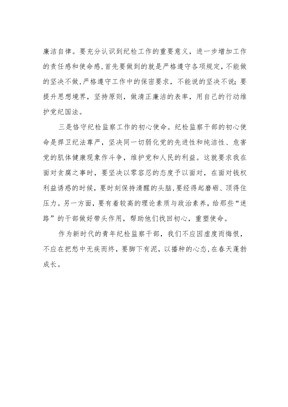 纪检监察干部学习党的二十大报告心得体会.docx_第2页