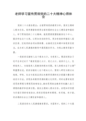 老师学习宣传贯彻党的二十大精神心得体会.docx