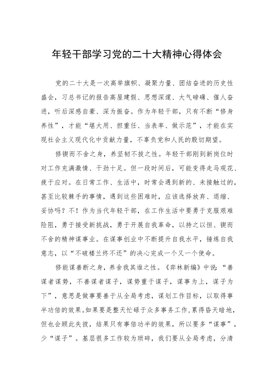 年轻干部学习党的二十大精神心得体会.docx_第1页