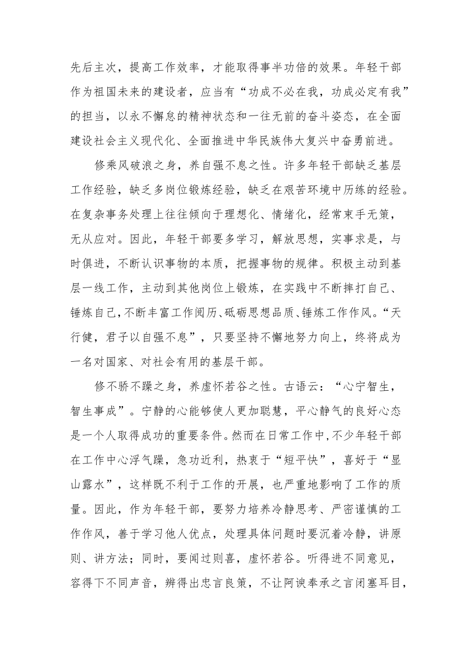 年轻干部学习党的二十大精神心得体会.docx_第2页