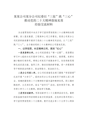 某某公司某分公司纪委以“三促”践“三心”推动党的二十大精神落地见效经验交流材料.docx